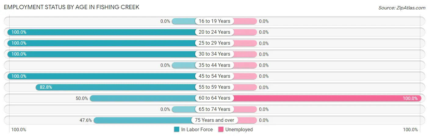 Employment Status by Age in Fishing Creek