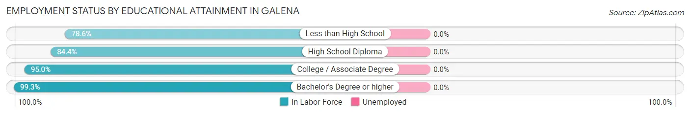 Employment Status by Educational Attainment in Galena
