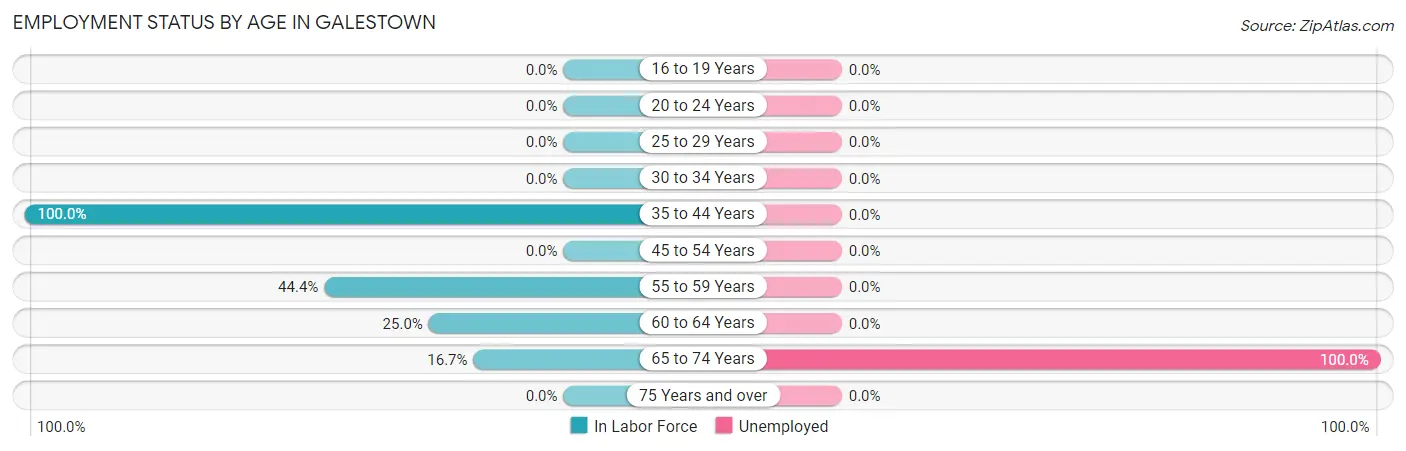 Employment Status by Age in Galestown