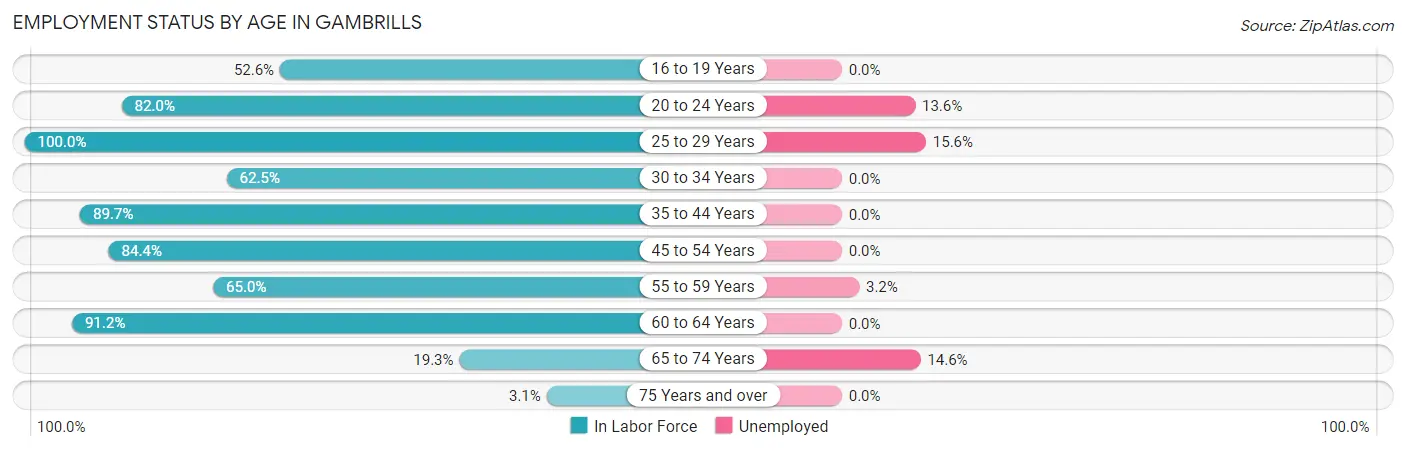 Employment Status by Age in Gambrills