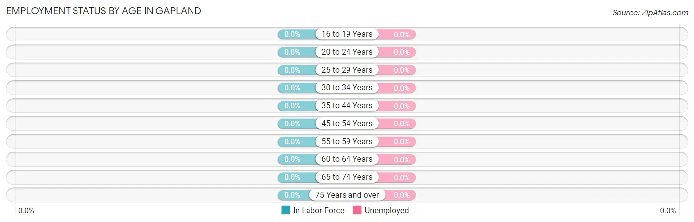 Employment Status by Age in Gapland