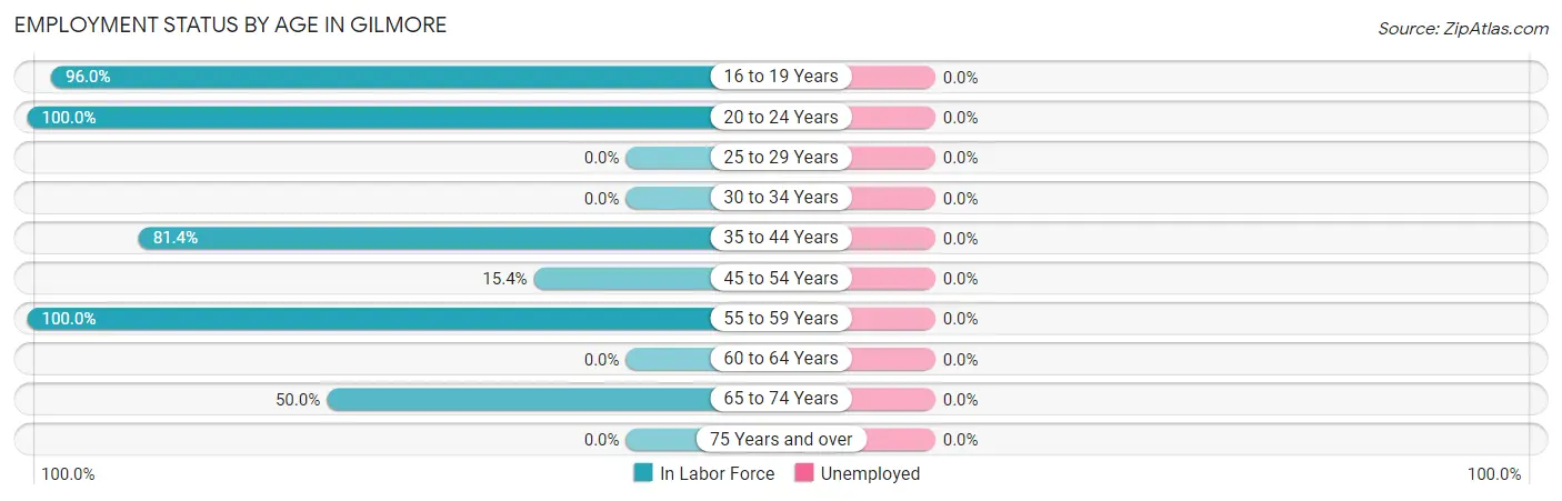 Employment Status by Age in Gilmore