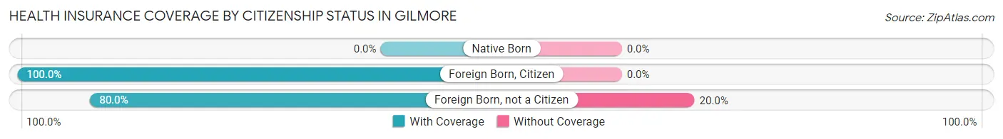 Health Insurance Coverage by Citizenship Status in Gilmore