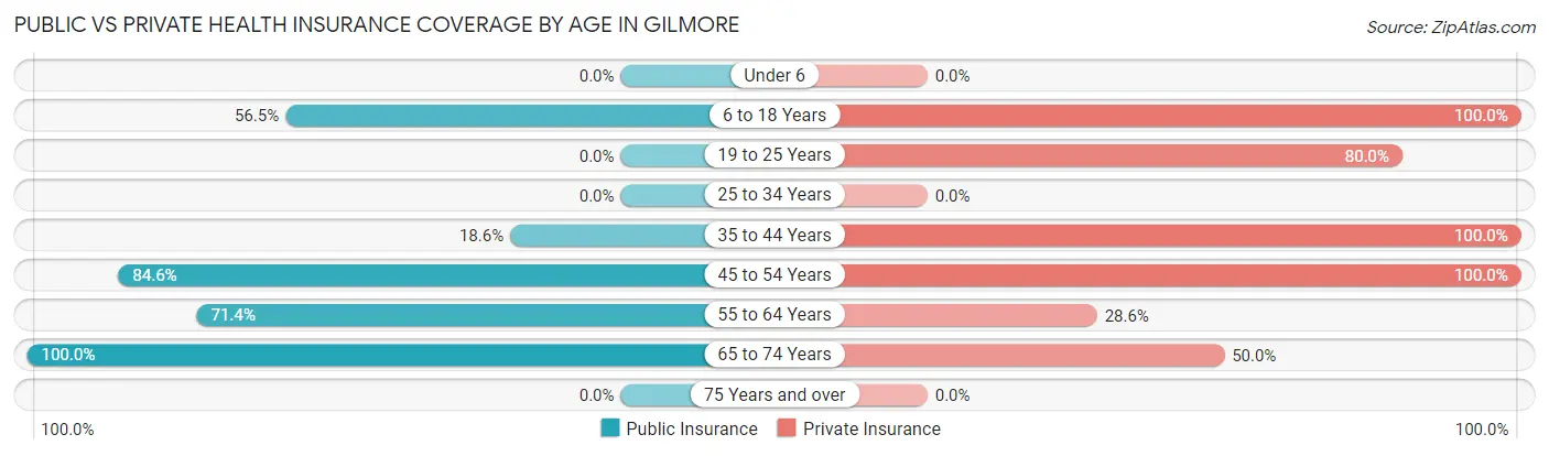 Public vs Private Health Insurance Coverage by Age in Gilmore