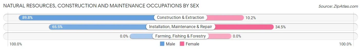 Natural Resources, Construction and Maintenance Occupations by Sex in Glassmanor