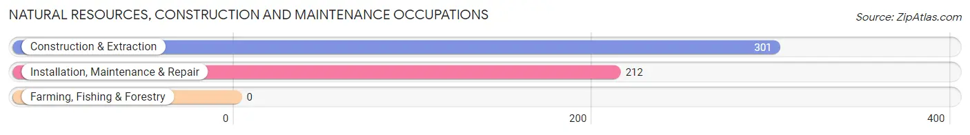 Natural Resources, Construction and Maintenance Occupations in Green Valley