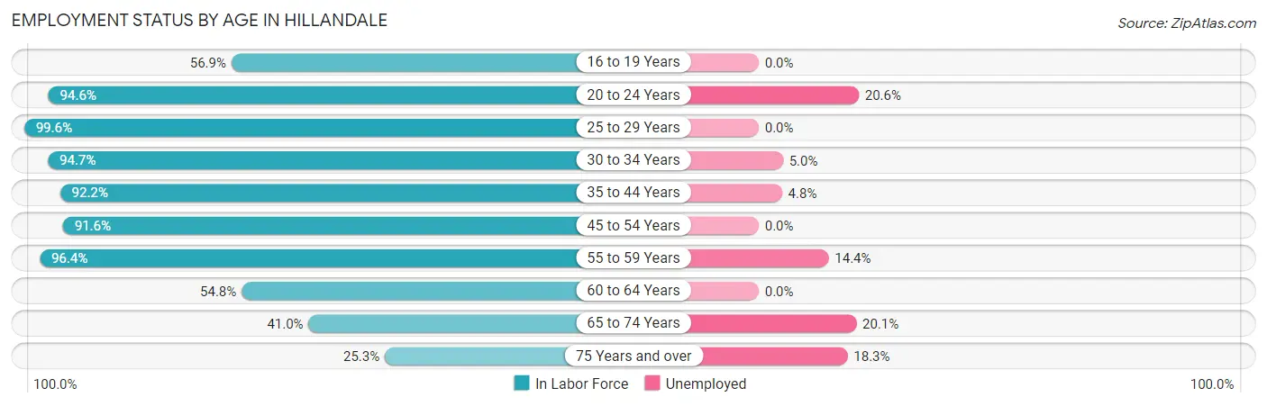 Employment Status by Age in Hillandale
