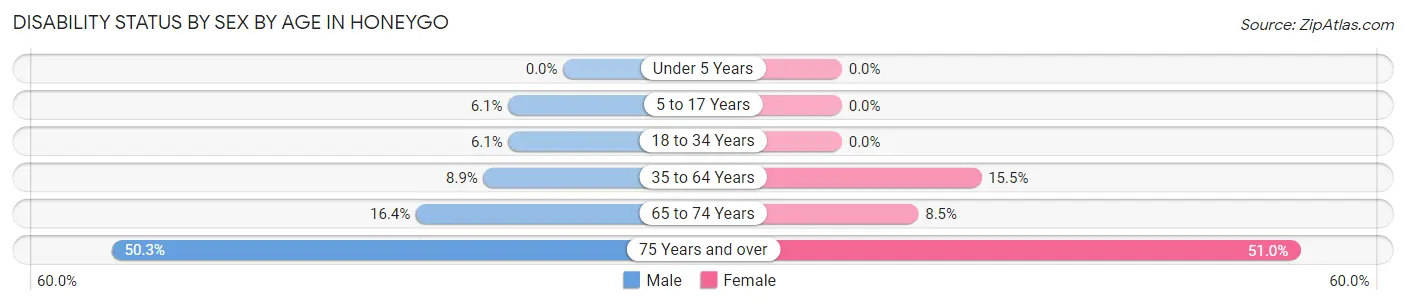 Disability Status by Sex by Age in Honeygo