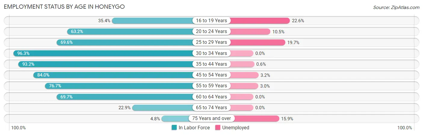 Employment Status by Age in Honeygo