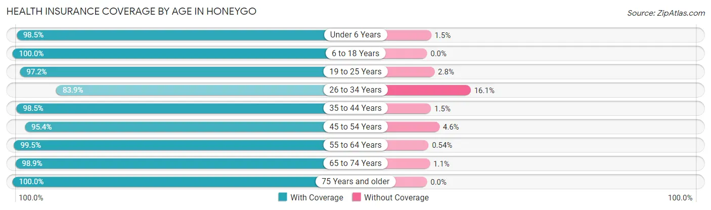 Health Insurance Coverage by Age in Honeygo