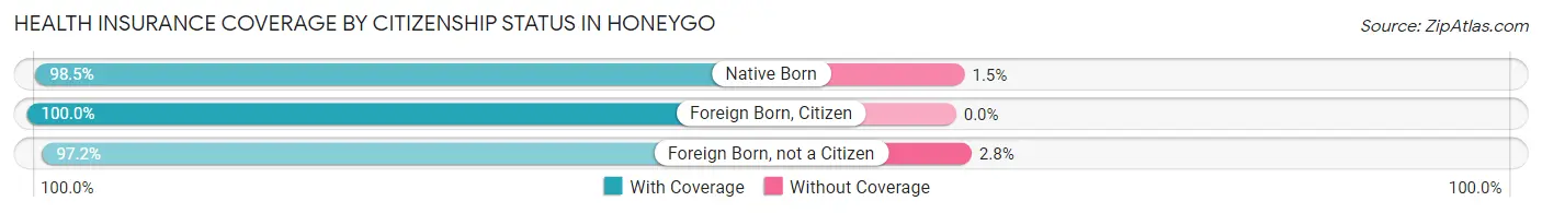 Health Insurance Coverage by Citizenship Status in Honeygo