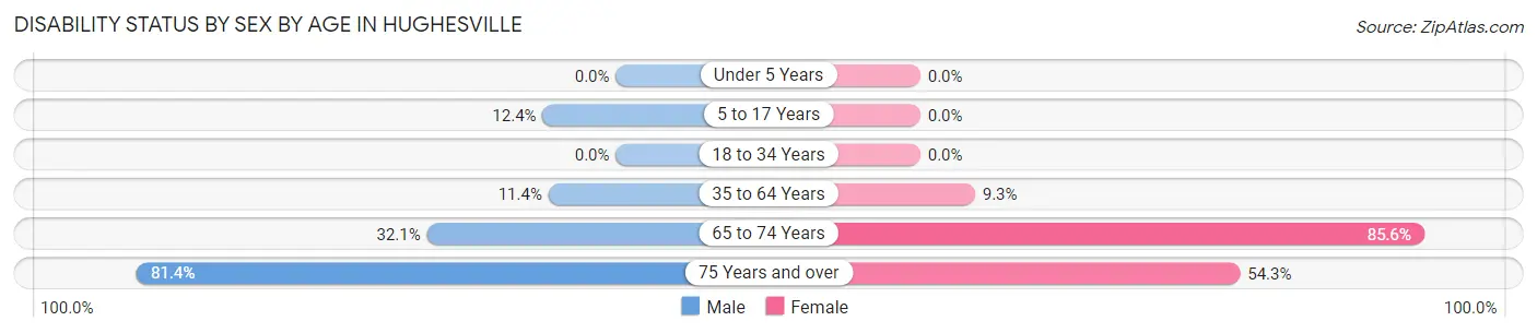 Disability Status by Sex by Age in Hughesville