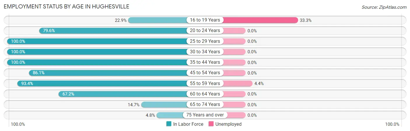Employment Status by Age in Hughesville