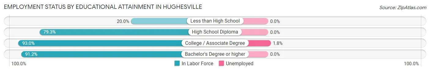 Employment Status by Educational Attainment in Hughesville