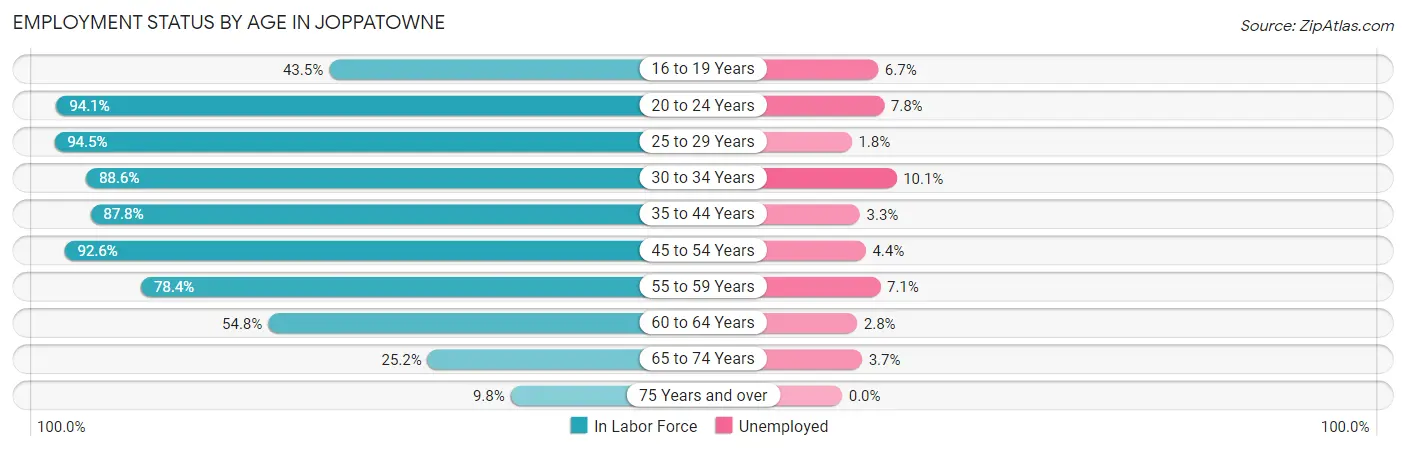 Employment Status by Age in Joppatowne