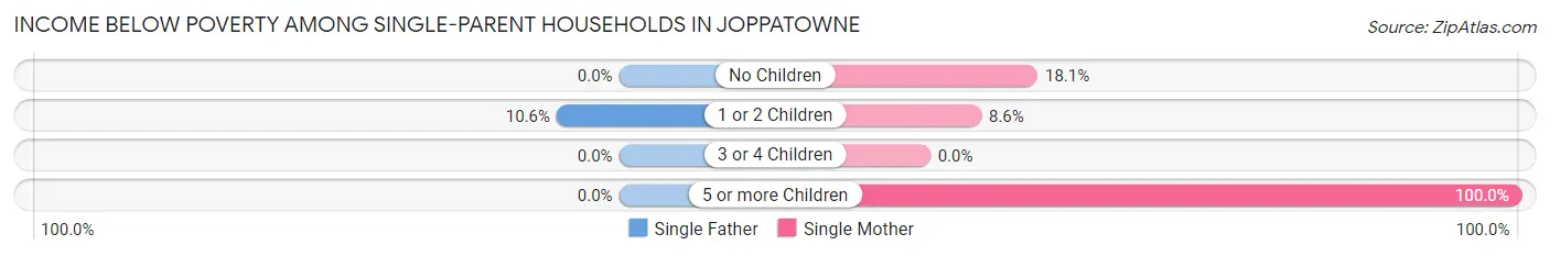 Income Below Poverty Among Single-Parent Households in Joppatowne