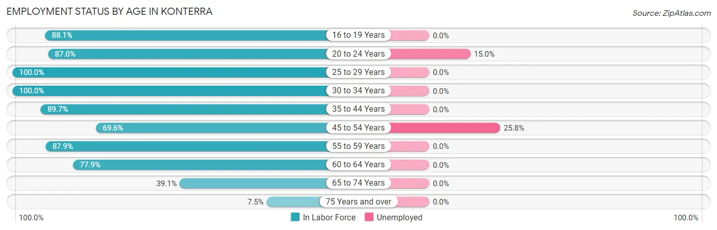 Employment Status by Age in Konterra