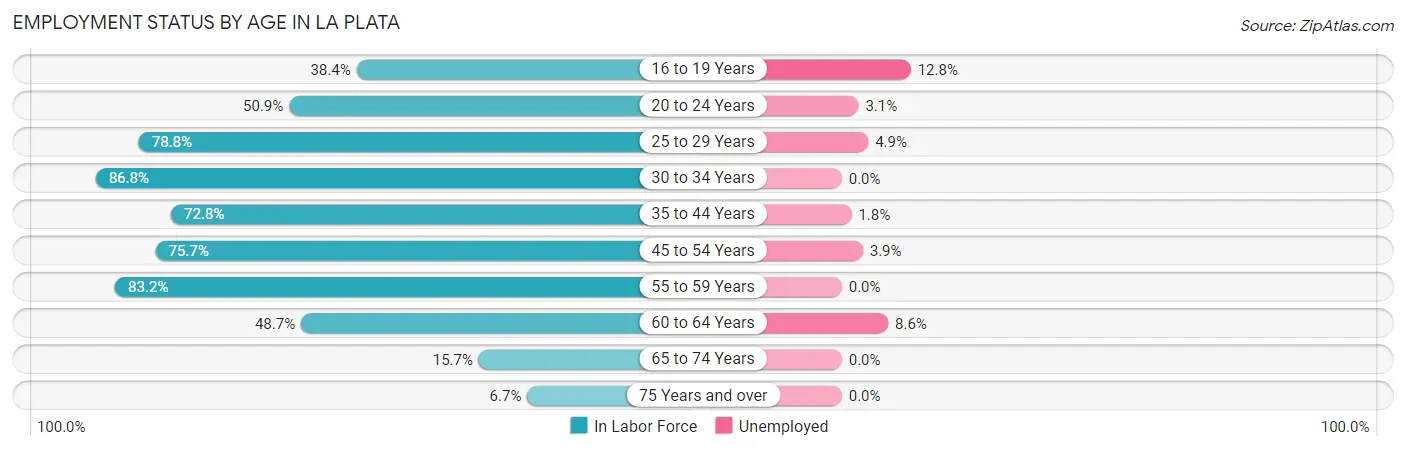 Employment Status by Age in La Plata