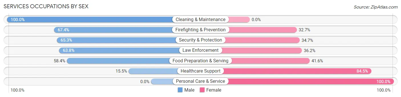 Services Occupations by Sex in La Plata