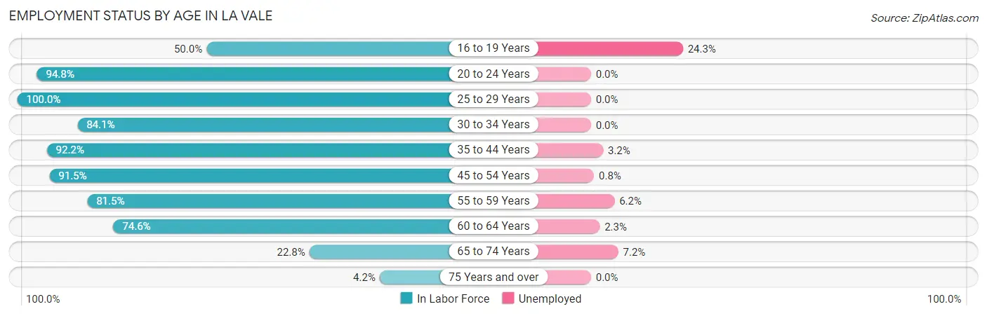 Employment Status by Age in La Vale