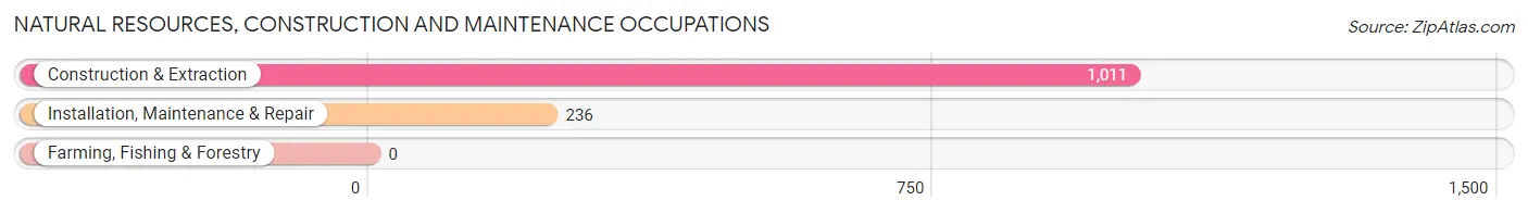 Natural Resources, Construction and Maintenance Occupations in Landover