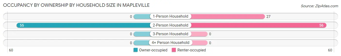 Occupancy by Ownership by Household Size in Mapleville