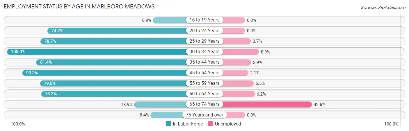 Employment Status by Age in Marlboro Meadows