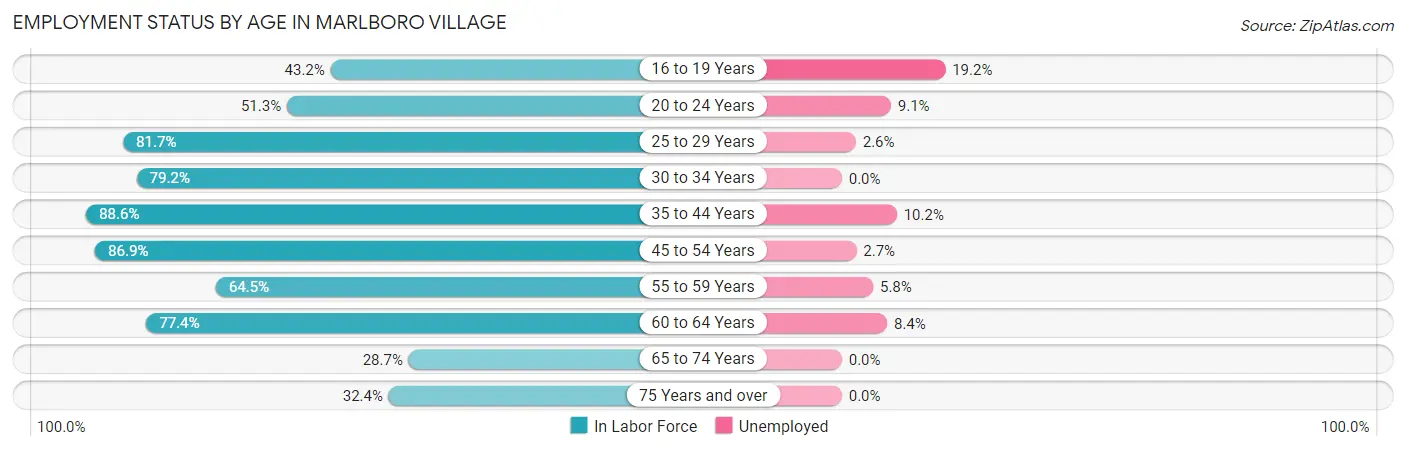 Employment Status by Age in Marlboro Village