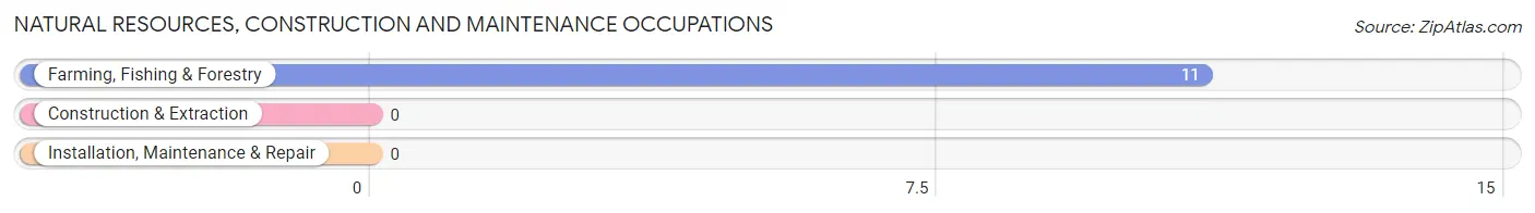 Natural Resources, Construction and Maintenance Occupations in Mercersville