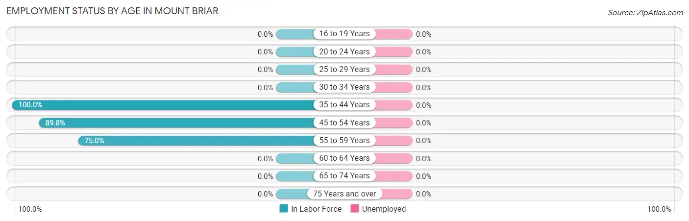 Employment Status by Age in Mount Briar