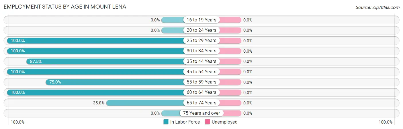 Employment Status by Age in Mount Lena