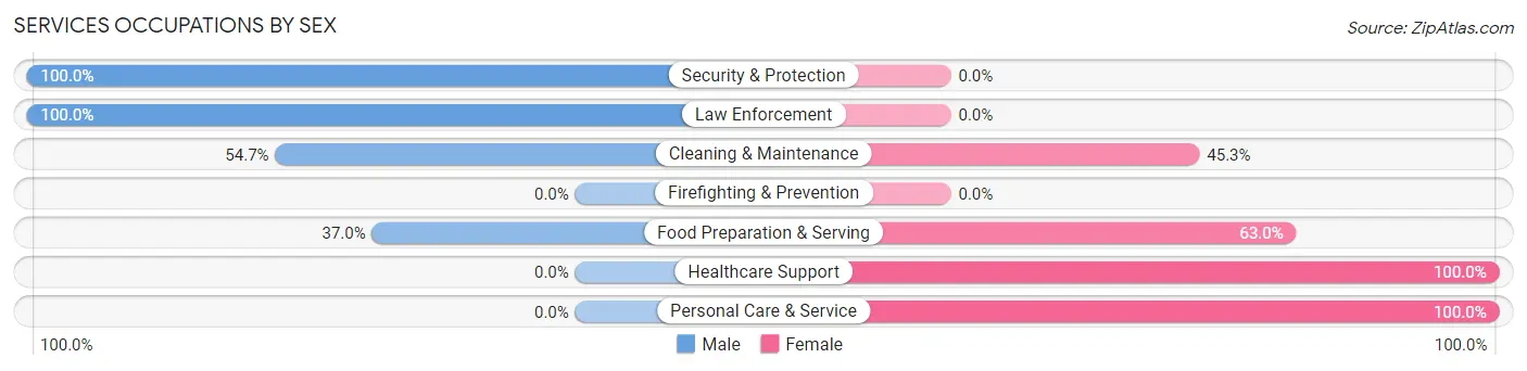 Services Occupations by Sex in Mountain Lake Park
