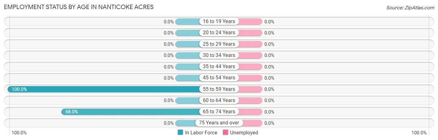 Employment Status by Age in Nanticoke Acres