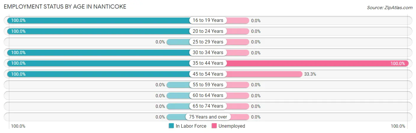 Employment Status by Age in Nanticoke
