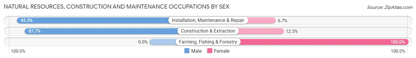 Natural Resources, Construction and Maintenance Occupations by Sex in New Carrollton