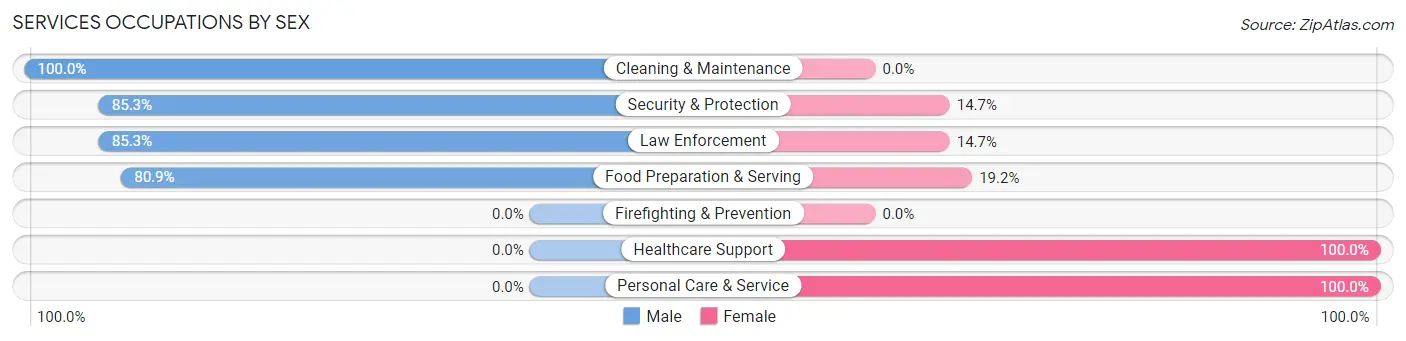 Services Occupations by Sex in New Market