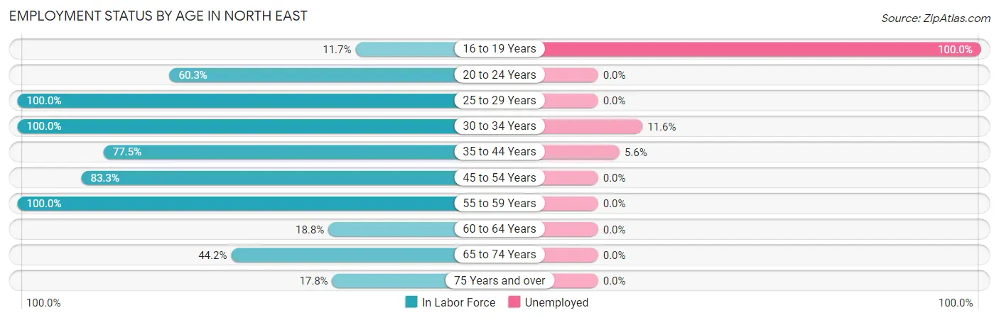 Employment Status by Age in North East