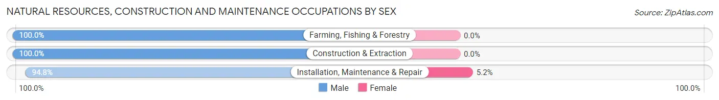 Natural Resources, Construction and Maintenance Occupations by Sex in Owings Mills