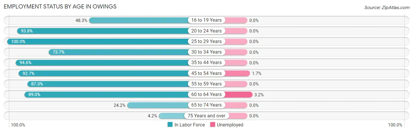 Employment Status by Age in Owings