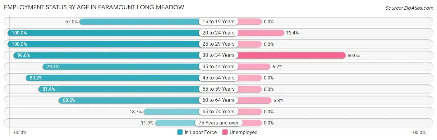 Employment Status by Age in Paramount Long Meadow