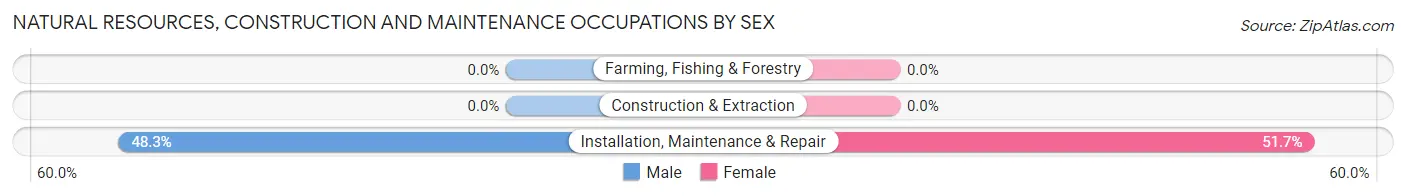 Natural Resources, Construction and Maintenance Occupations by Sex in Parsonsburg
