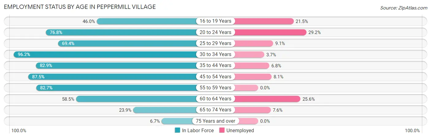 Employment Status by Age in Peppermill Village