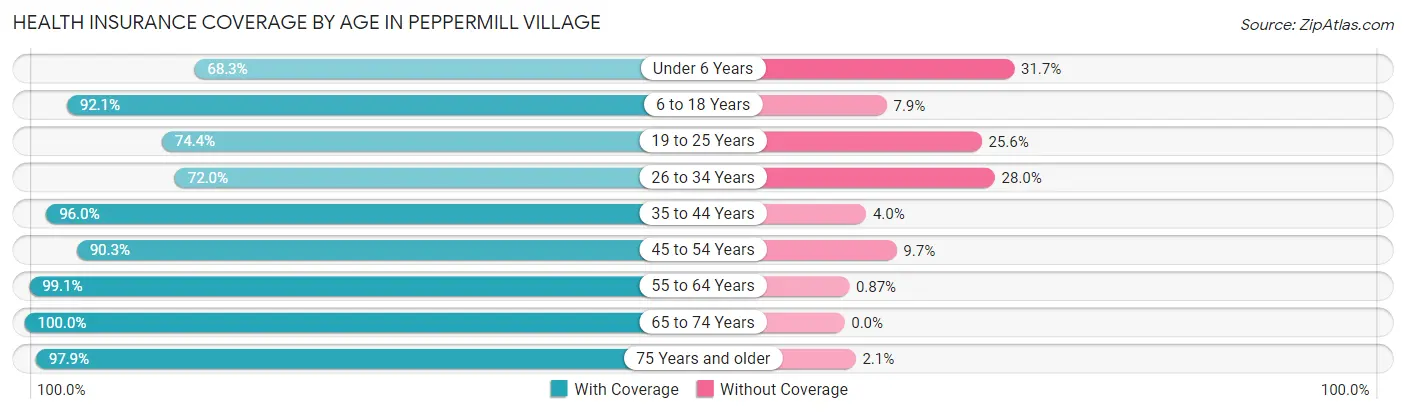 Health Insurance Coverage by Age in Peppermill Village
