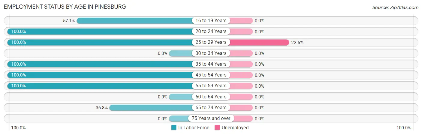 Employment Status by Age in Pinesburg