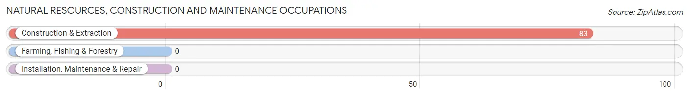 Natural Resources, Construction and Maintenance Occupations in Pinesburg