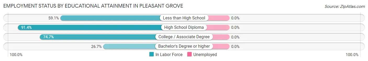 Employment Status by Educational Attainment in Pleasant Grove