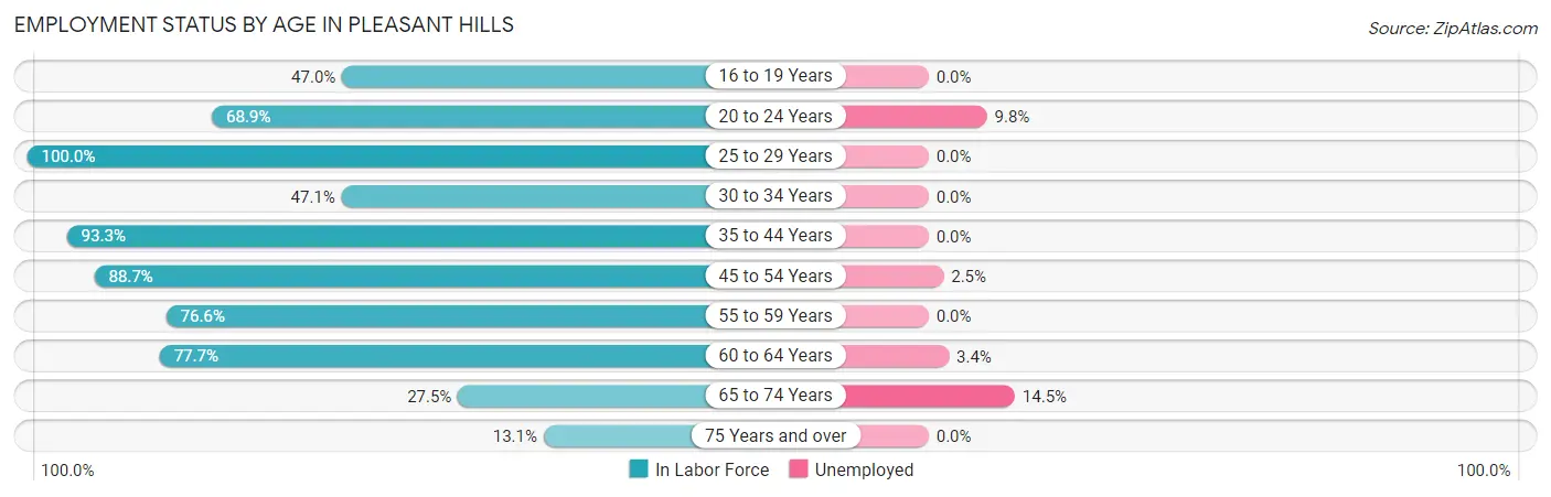 Employment Status by Age in Pleasant Hills