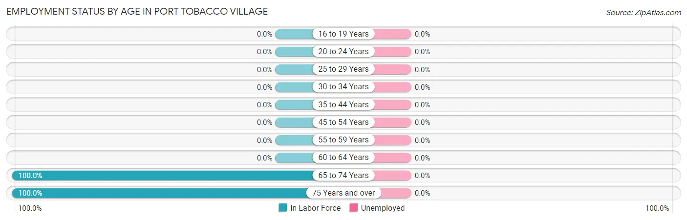 Employment Status by Age in Port Tobacco Village