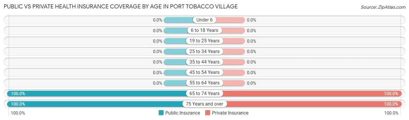 Public vs Private Health Insurance Coverage by Age in Port Tobacco Village