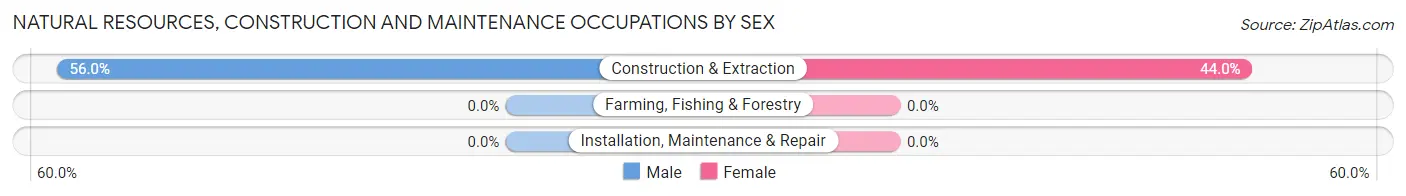 Natural Resources, Construction and Maintenance Occupations by Sex in Potomac Park